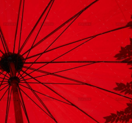 demo-attachment-1549-loic-furhoff-YERwza88a0o-unsplash@2x